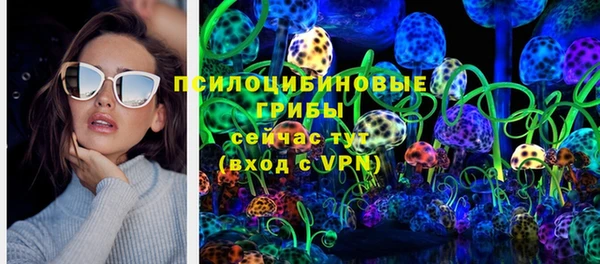 винт Арсеньев