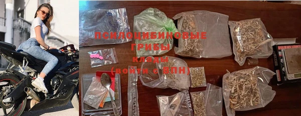 винт Арсеньев