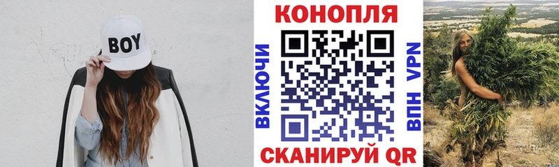 Бошки марихуана MAZAR Голицыно
